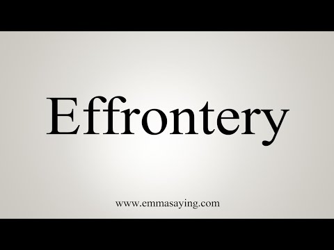 How To Say Effrontery