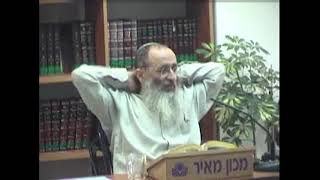 האם ניתן לקיים שלטון דמוקרטי בחסות ההלכה?