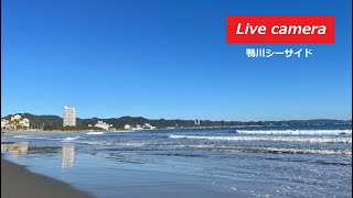 海辺の風景　ライブカメラ波情報　南房総 鴨川シーサイド　癒しの海 live webcam