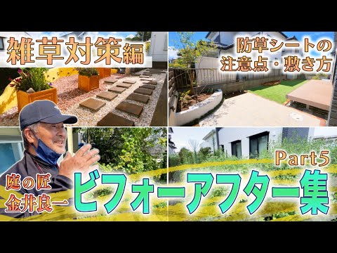  19 のトップアイデアをうまく​​注入するために、庭で育てる芳香のハーブ！  庭園