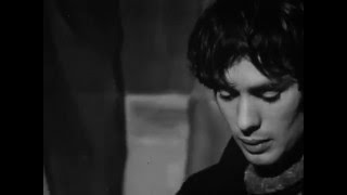 Wheel of Ashes (Peter Emmanuel Goldman)