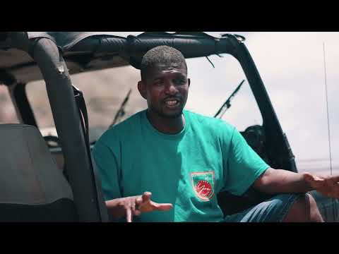 Warm Breeze Series - Kayryouacou Entertainment Plus