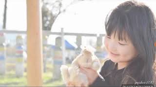 変わらないもの歌ってみた【奈都】