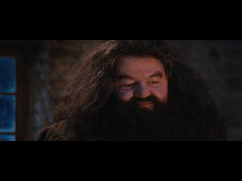 You're a wizard Harry meme - 4K HDR [Best quality version]