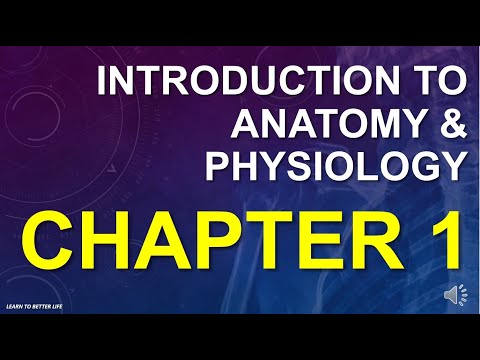 Introduction to Anatomy & Physiology - Chapter 1