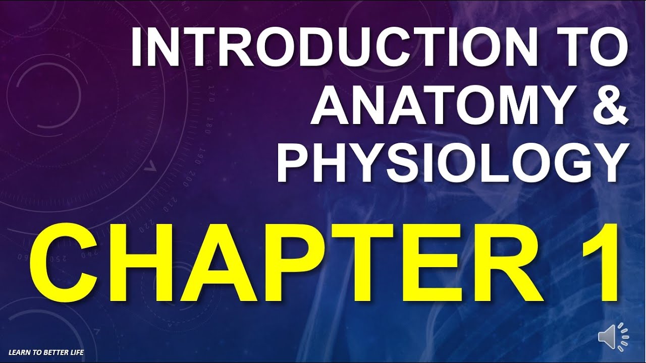 Introduction to Anatomy & Physiology - Chapter 1