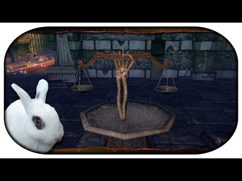 NEVERWINTER: Paladin-LP 🐇 186 - Alltägliches in Neverwinter