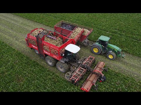 Agrifac Hexx Traxx 12 | 12 row Sugarbeet harvesting | John Deere 7930 + New Holland | Van Hal