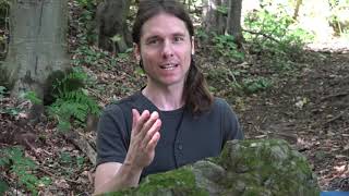 Video-Thumbnail von YouTube