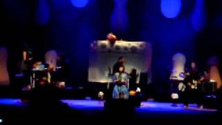 ovelha negra- Pato fu