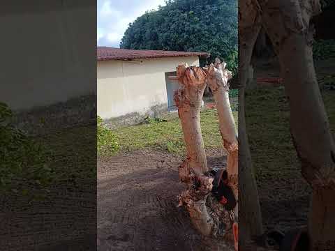 trabalho realizado na cidade de Itaitinga Ceará #itaitingaceará  #chamaomelhordaregiao