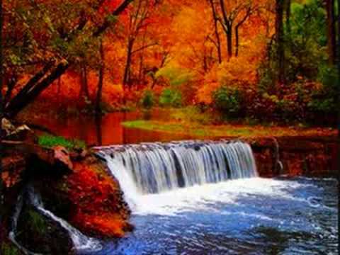 seba & aaron phiri - neophunk