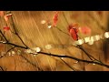 Making Love In The Rain Herb Alpert Rain Video