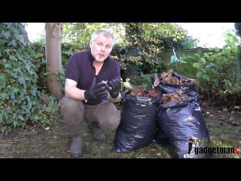 Wildlife Gadget Man - What To Do With Autumn Leaves