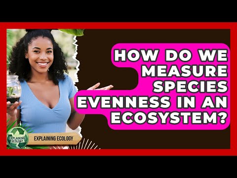 evenness | Golden Age