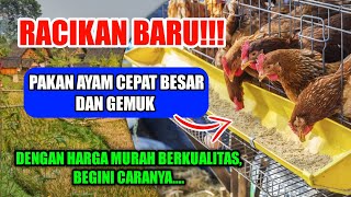 Download lagu RACIKAN BARU!!! BUAT PAKAN AYAM KAMPUNG CEPAT BESAR DAN GEMUK DENGAN HARGA MURAH BERKUALITAS mp3