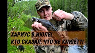 На что клюёт хариус в июле