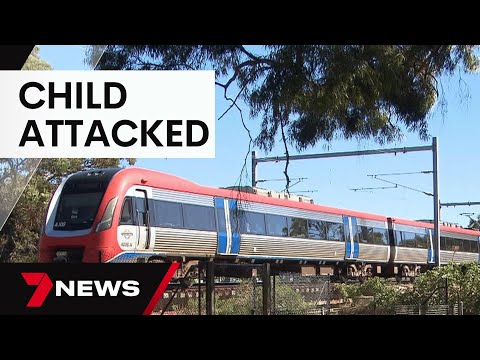 Young girl raped on Seaford line train, Adelaide court hears | 7 News Australia