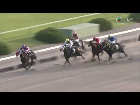 2018 Fujinomori Stakes - Copano Kicking (活蹦雀躍) - K.Tosaki