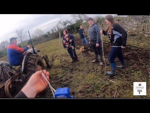 PLOUGHING IN A 100 TREE ORCHARD -- TVO 20 & FERGUSON PLOUGH PLANTING A NEW FRUIT TREE ORCHARD