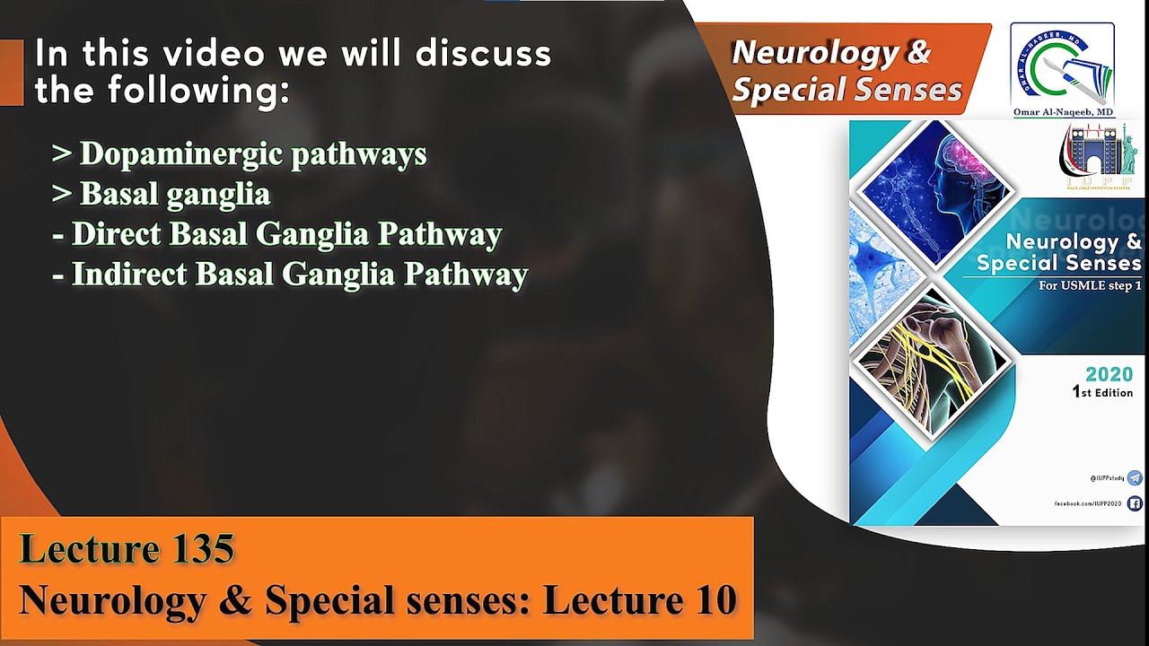 Dopaminergic pathways ||  Basal ganglia || Direct & Indirect Basal Ganglia Pathways