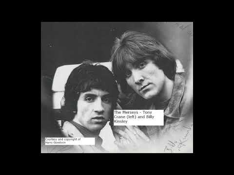The Merseys – So Sad About Us