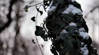 Canon EOS 600D / Rebel T3i (FULL HD) - test shooting - winter impressions