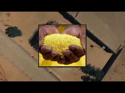 Jah Moko Family (Mali)