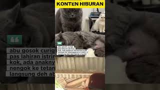 Download lagu Abu scouring doesn't accept it‼️ #funny #shortvideo mp3