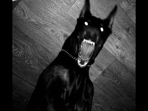 [FREE FOR PROFIT] ZILLAKAMI TYPE BEAT - "Slash" | Hard Dark Trap Metal Type Beats 2025