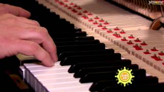 I Love My Job: Piano Tuner