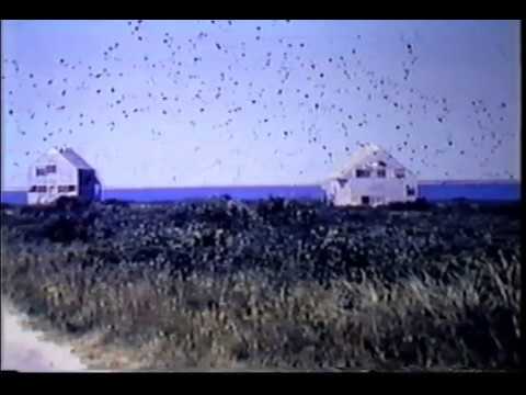 Vincent Scully | "Robert Venturi", Yale University DeVane Lectures