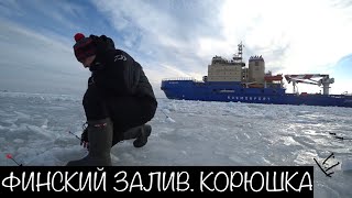 Финский залив отчеты о рыбалке