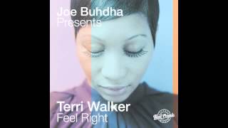 Joe Buhdha Presents Terri Walker – Feel Right (Reel People Vocal Mix)