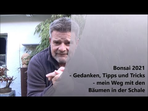 Bonsai 2021-51 - Spielfilm 2.0 - Gedanken, Tipps und Tricks - mein Weg mit den Bäumen in der Schale