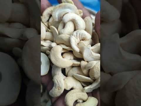 Baked white raw cashew nuts, grade: jh, packaging size: 9 kg