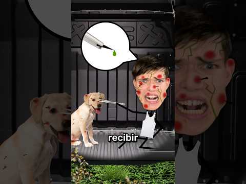 How to Escape from a Beehive Tutorial 🐝