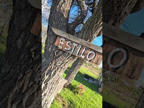 Esto es en Los Arrayanes, depto de Río Negro. Una escapadita a éste lugar, y el alma se recarga😍 ✨️