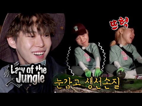 download law of the jungle ep 256 download law of the jungle ep 256