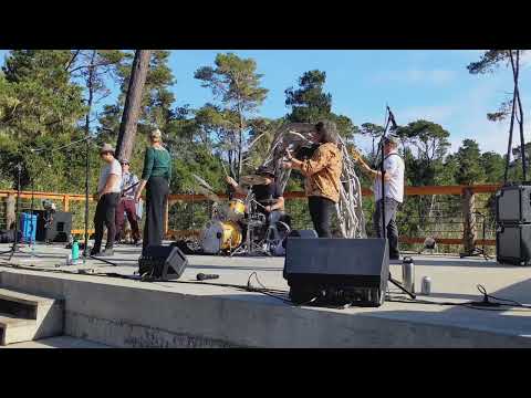 Brynn Albanese with The Tipsy Gypsies