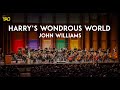 John Williams: Harry Potter and the Sorcerer’s Stone Suite, IV. Harry’s Wondrous World