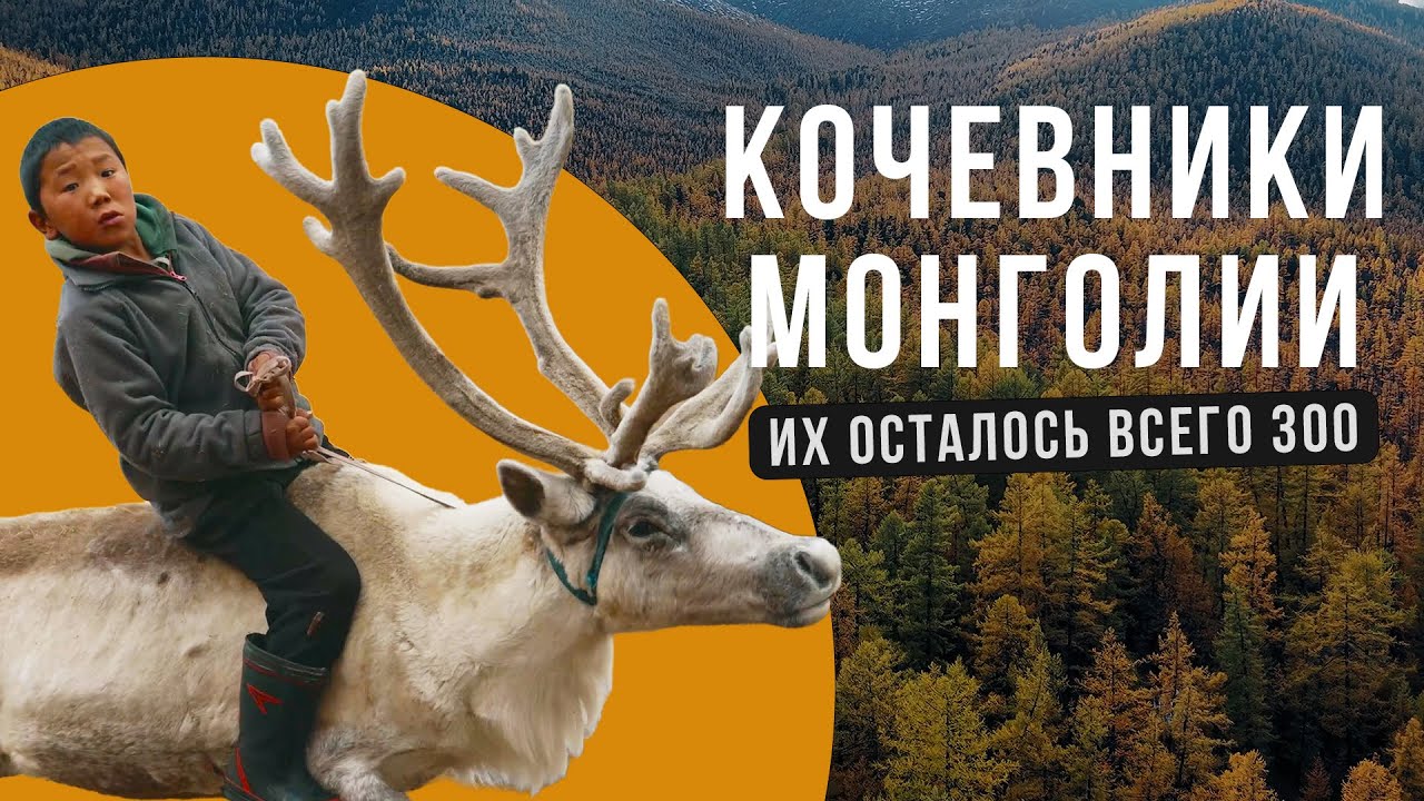 Одни в тайге: живу с последними кочевыми оленеводами Монголии. Народ Цаатаны
