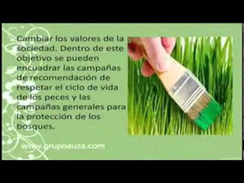 Imagen de previsualización de YouTube