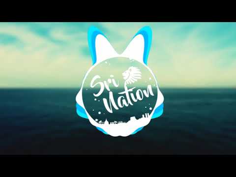 විල්පත්තුවේ විලාපය | Wilpattuwe Wilapaya | Mihindu Ft RapZilla & Ratta (Jizzy Remix)