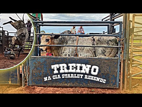 TREINO NA CIA STARLEY REZENDE | RODEIO EM TOUROS