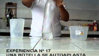 experiencia nº17