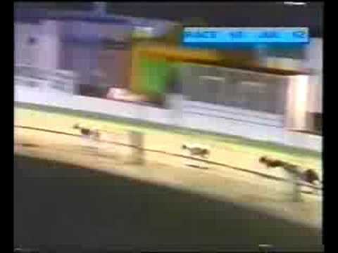 1991 Champion Stakes