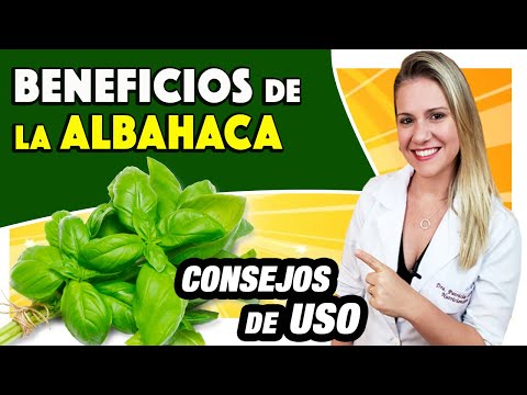 Beneficios de la Albahaca - Para Que Sirve? Adelgaza? Y el Té? [CONSEJOS]