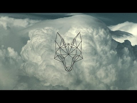 Pandora Fox - Survive (Official Music Video)