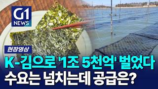 김으로 '1조 5천억 원' 벌었다… 정부가 긴급 TF 꾸린 이유 [G1현장영상]